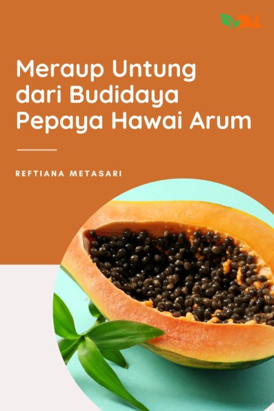 Meraup Untung dari Budidaya Pepaya Hawai Arum